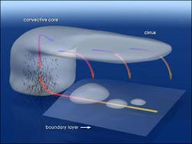 Atmospheric Convection